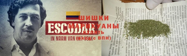 ПСИЛОЦИБИНОВЫЕ ГРИБЫ Елабуга