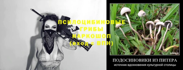 ПСИЛОЦИБИНОВЫЕ ГРИБЫ Елабуга