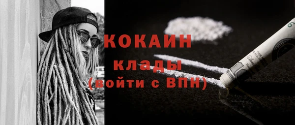 винт Ельня