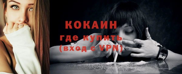 винт Ельня