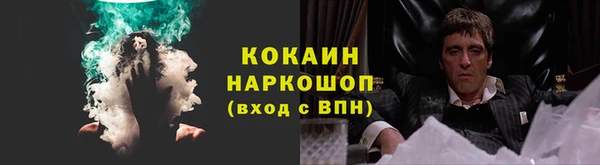 винт Ельня