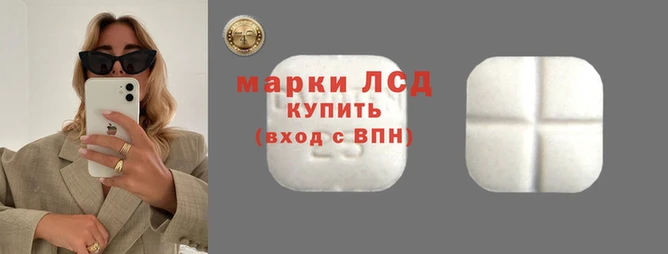 ПСИЛОЦИБИНОВЫЕ ГРИБЫ Елабуга
