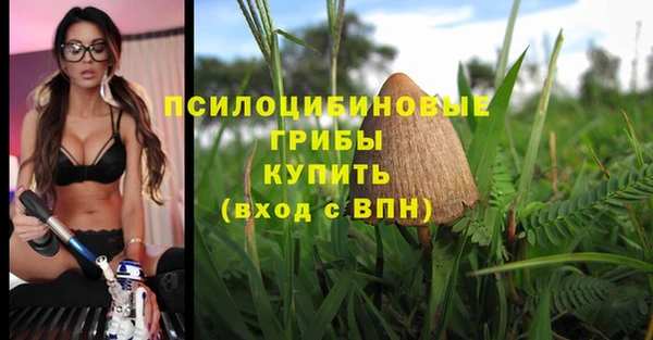 винт Ельня