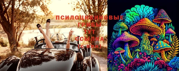 ПСИЛОЦИБИНОВЫЕ ГРИБЫ Елабуга