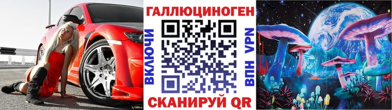 наркота  Сретенск  Псилоцибиновые грибы Psilocybe 